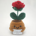 CrochetCreations Plant Pals