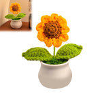 CrochetCreations Potted Flowers