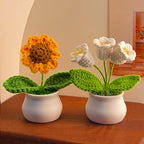 CrochetCreations Potted Flowers